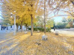 -中国石油大学（北京）(北京西校区)