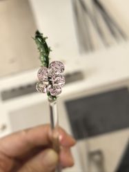 -烬·烧玻璃diy灯工玻璃艺术·银饰工作室