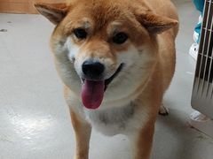 -联合动物医院(光谷诊疗中心)