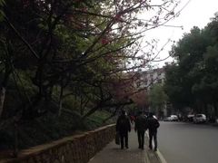 -武汉大学老图书馆