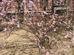 -北京邮电大学