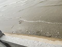 -大鹿岛