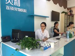 -贝利宠物医院·骨科·眼科·肿瘤转诊中心(南坪诊疗中心)