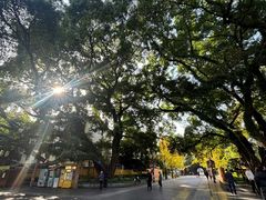 -桂林独秀峰王城景区