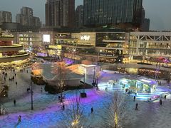 -花潮料理艺食馆(成都万象城店)