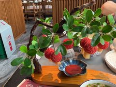 -唐猫庭院·千年陕菜(赛格国际购物中心店)