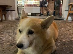 -茶米人台湾料理·精致快简餐
