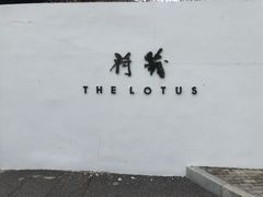 -几荷·恰似故人来(秀水广场店)