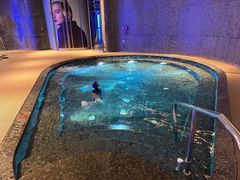 -西安W酒店FIT有型健身中心