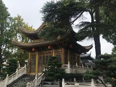 -上海东林寺(金山区)