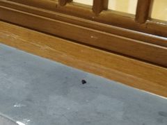 -汕品潮牛正宗潮汕火锅(华师店)