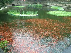 -普陀山风景名胜区-法雨禅寺
