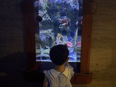 -太平洋海底世界