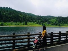 -武陵山森林公园
