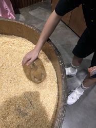 -Zoolung Zoolung动物主题公园(海信广场店)