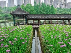 -龙头寺公园