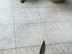 -麦当劳(北苑秋实路店)