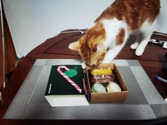 -星巴克(钦江路店)