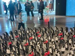 -北京SKP
