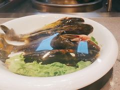 -鸽子窝(黄村店)