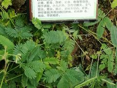 -嬉乐湾休闲旅游区