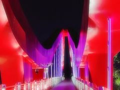 -玉树公园