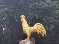 -海口火山口国家地质公园