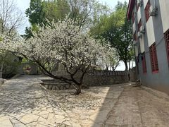 -抱犊寨风景区