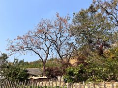-里口山风景名胜区