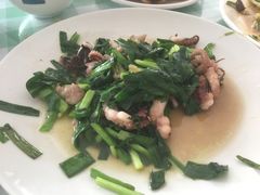 八爪鱼炒韭菜-宁悦海鲜家常菜馆(北戴河老虎石店)