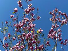 -七鲜超市(鲁能城店)