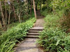 -铁山坪森林公园