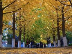 -辽东学院(南校区)