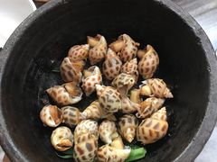 盐焗花螺-猪肉婆私房菜(容桂总店)