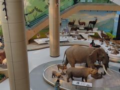 -陕西自然博物馆