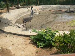 -宿豫区运河湾森林动物园