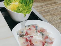 -港升鱼师傅·中山脆肉鲩