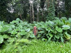 -海南热带野生动植物园