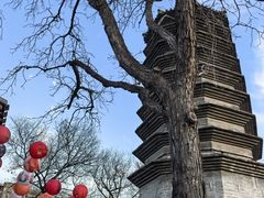-正阳书局(西四南大街店)