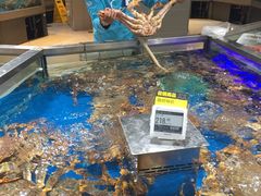 海鲜-盒马鲜生(悦峰店)