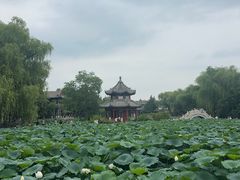 -莲池书院博物馆