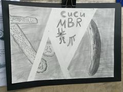 -阿妮亚少儿美术书法(望京店)