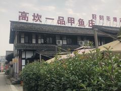 -高坎一品甲鱼庄(两河店)
