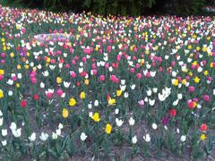 -长春公园(普阳街道)