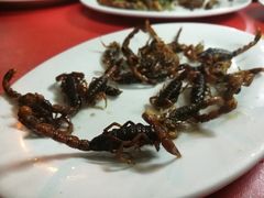 -沂蒙全羊汤(大觉胡同)