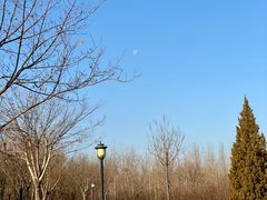 -永定河休闲森林公园