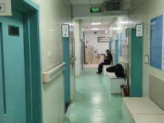 -北京观赏动物医院·24小时大型综合·猫专科·异宠专科
