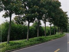 -绍兴镜湖国家城市湿地公园