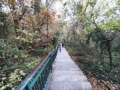 -大蜀山国家森林公园