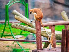 -杭州野生动物世界